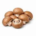 cogumelo castanho