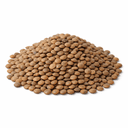 Lentilha Castanha