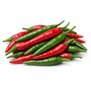 frische Chili