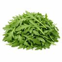 Arugula