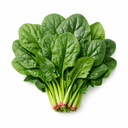 ほうれん草