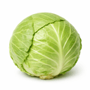 cavolo cappuccio