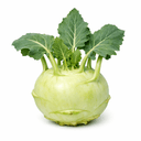 大头菜