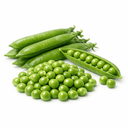 Grüne Erbsen