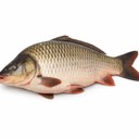 Carpa (intera, pulita)