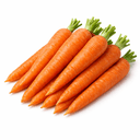 Carrot