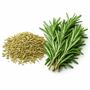 إكليل الجبل (مجفف أو طازج)