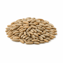 segale (piccola quantità)