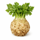 celery